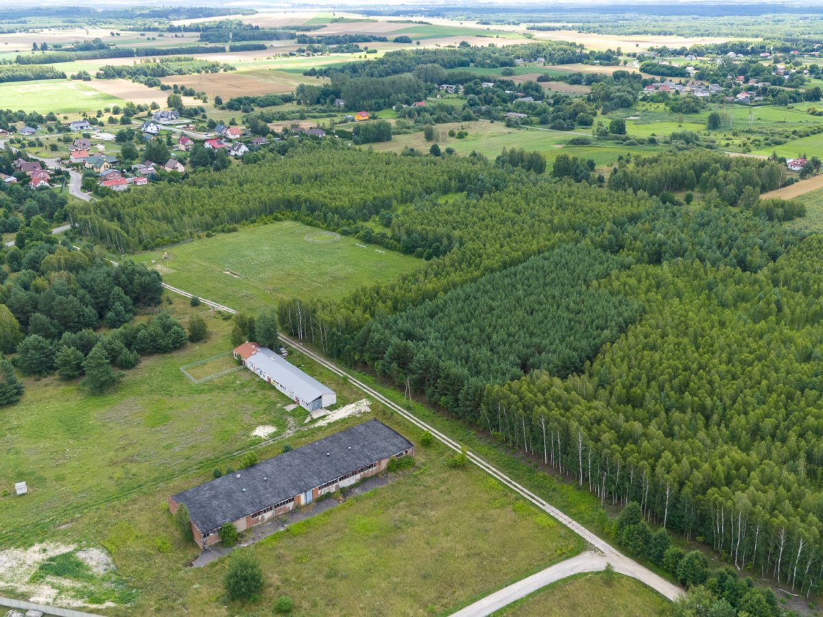 Zdjęcia z Kanie Stacja