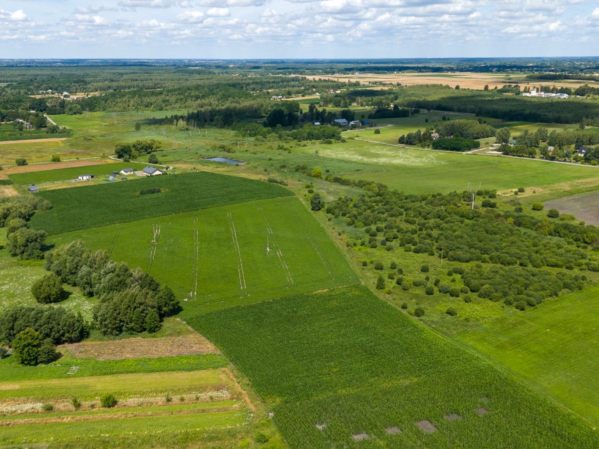 Zdjęcia przedstawiające Liszno