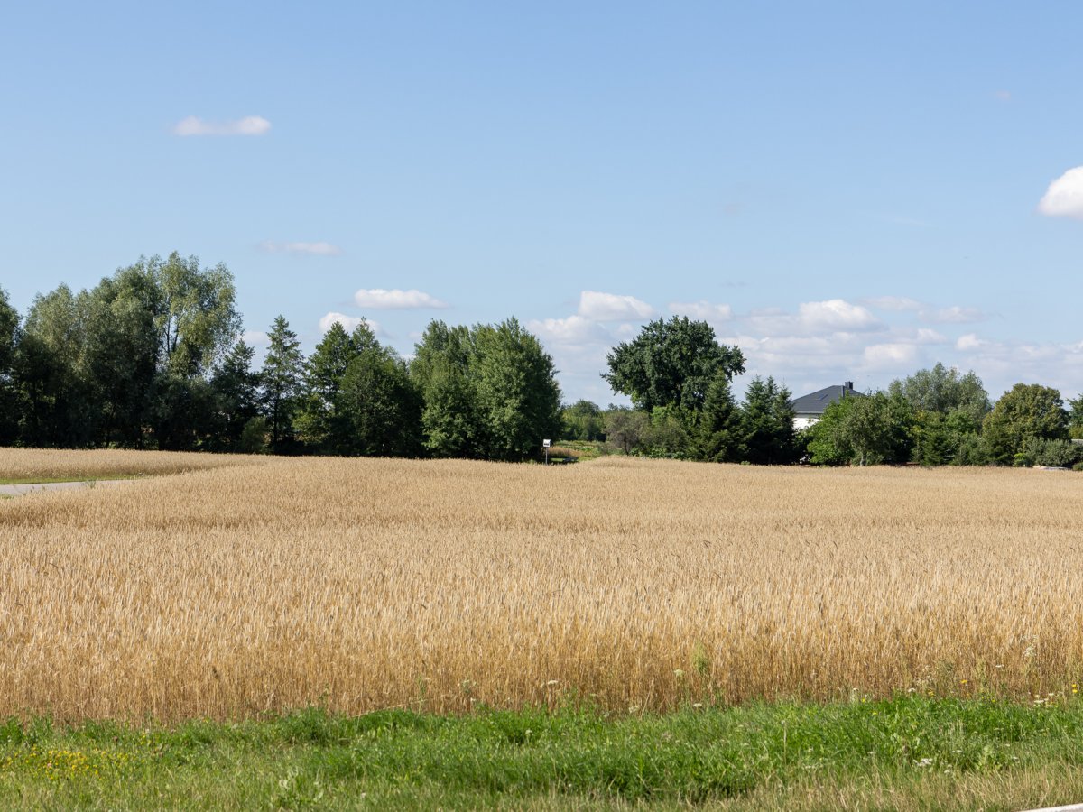Zdjęcia przedstawiające Wólka Kańska Kolonia