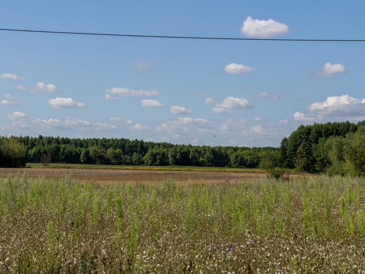 Zdjęcia przedstawiające Wólka Kańska Kolonia