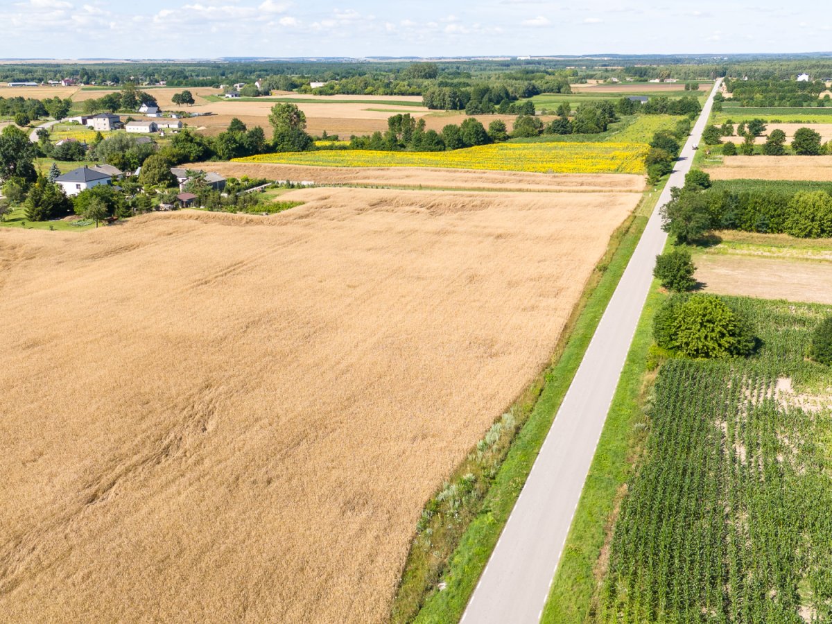 Zdjęcia przedstawiające Wólka Kańska Kolonia
