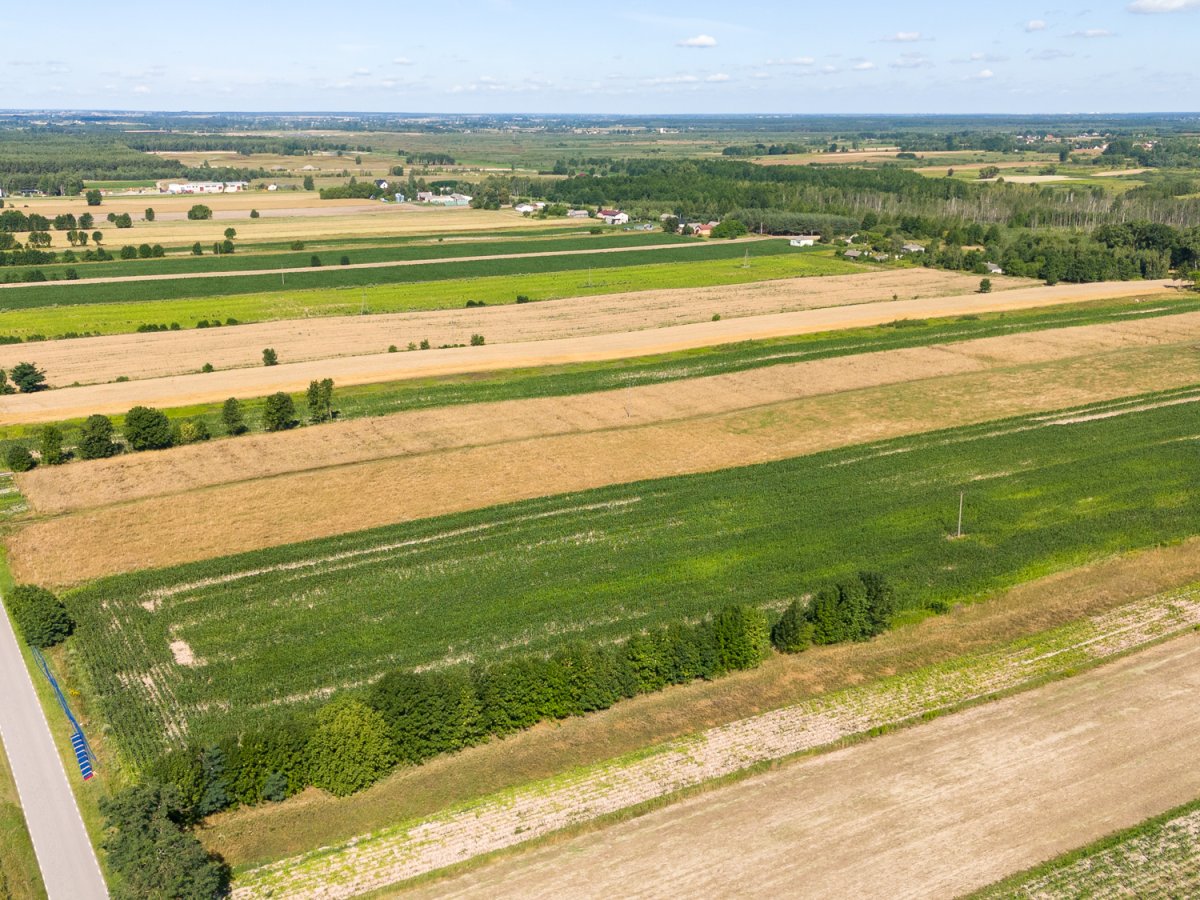 Zdjęcia przedstawiające Wólka Kańska Kolonia