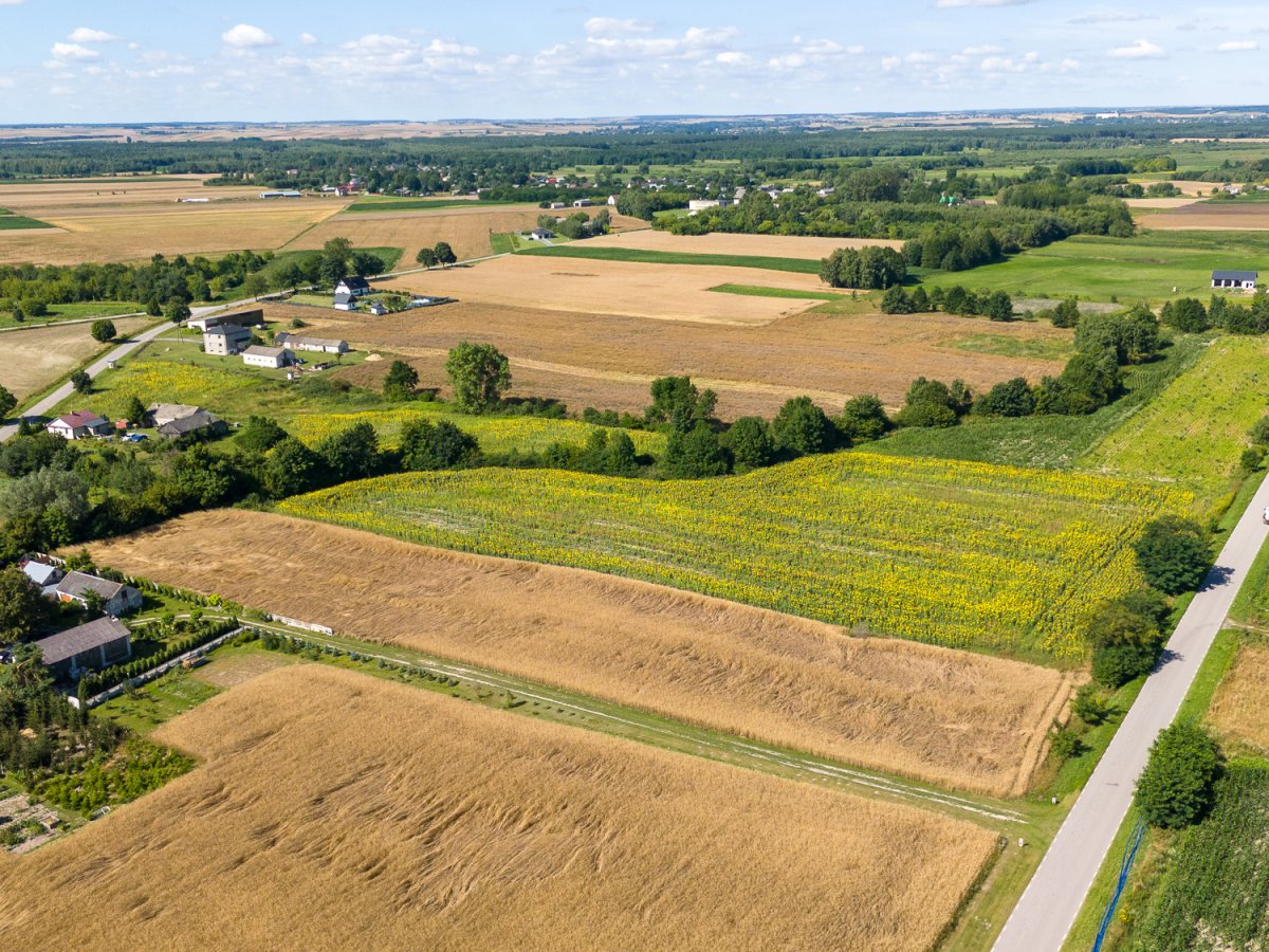 Zdjęcia przedstawiające Wólka Kańska Kolonia