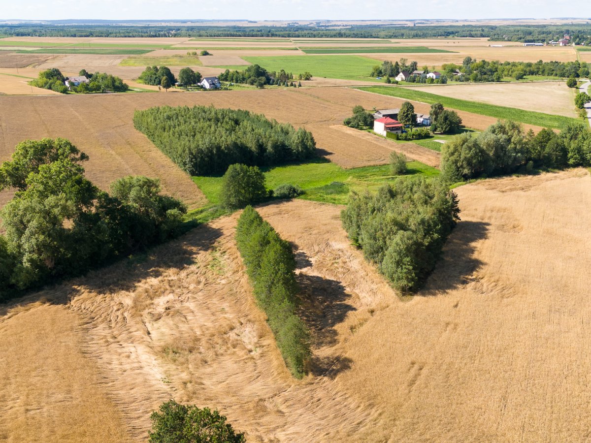 Zdjęcia przedstawiające Wólka Kańska Kolonia