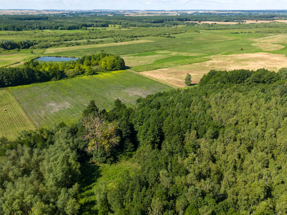 Zdjęcia przedstawiające Wólka Kańska Kolonia