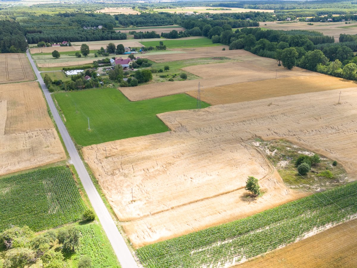 Zdjęcia z Zalesia Kańskiego