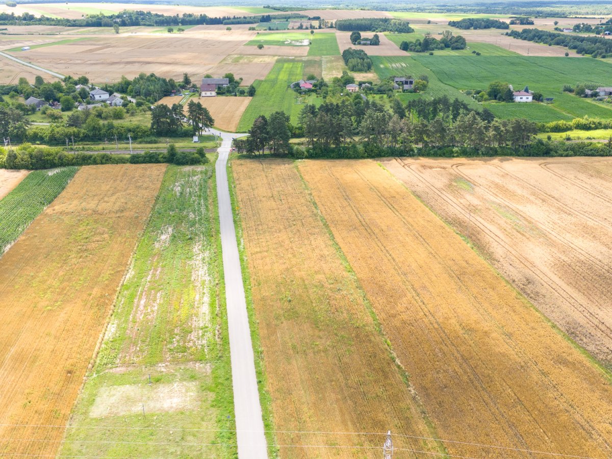 Zdjęcia z Zalesia Kańskiego