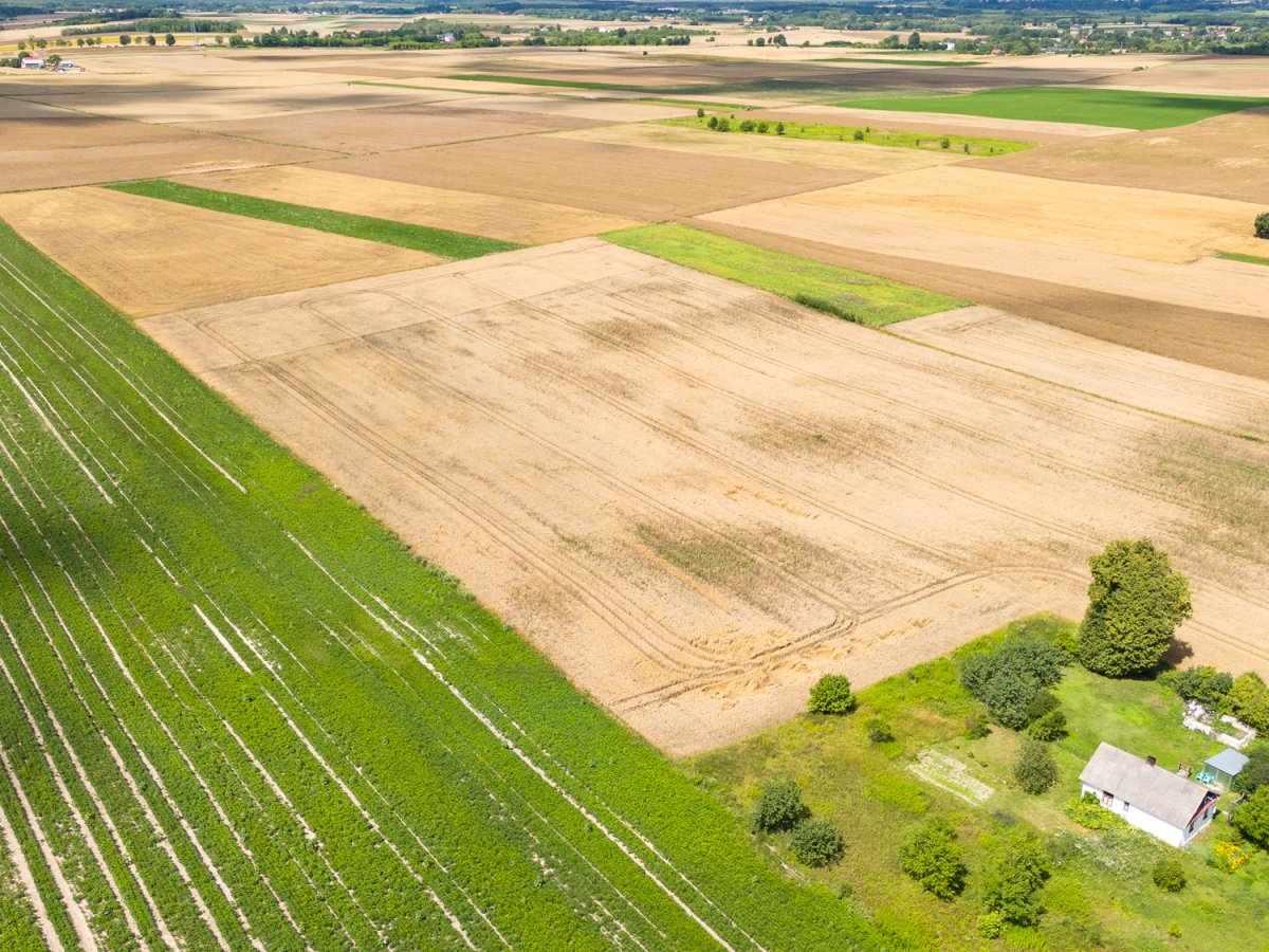 Zdjęcia z Zalesia Kańskiego