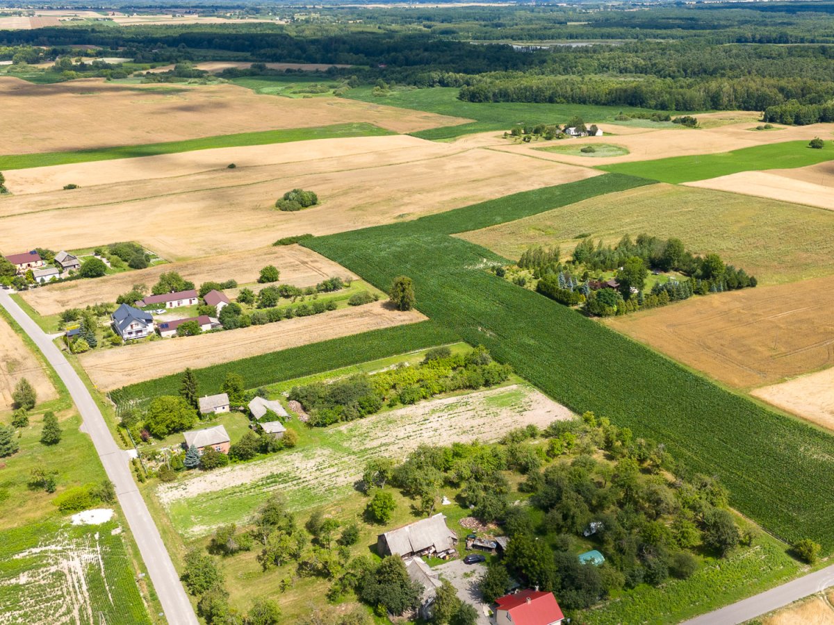 Zdjęcia z Zalesia Kańskiego