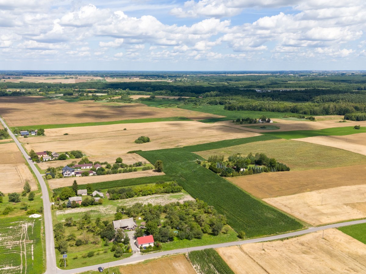 Zdjęcia z Zalesia Kańskiego