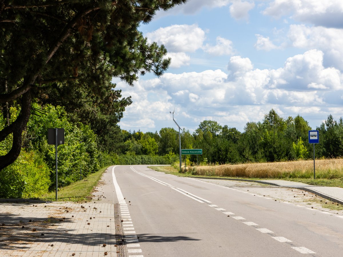 Zdjęcia z Zalesia Krasieńskiego