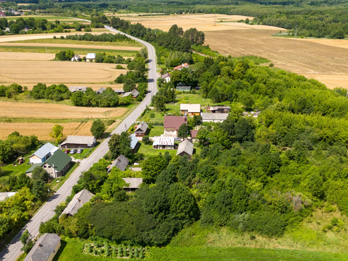 Zdjęcia z Zalesia Krasieńskiego