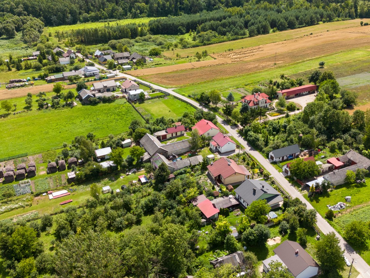 Zdjęcia z Zalesia Krasieńskiego