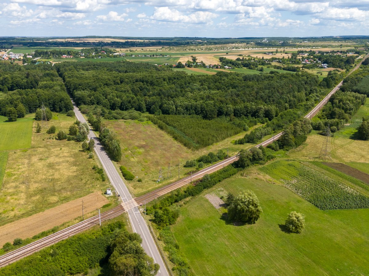 Zdjęcia z Zalesia Krasieńskiego