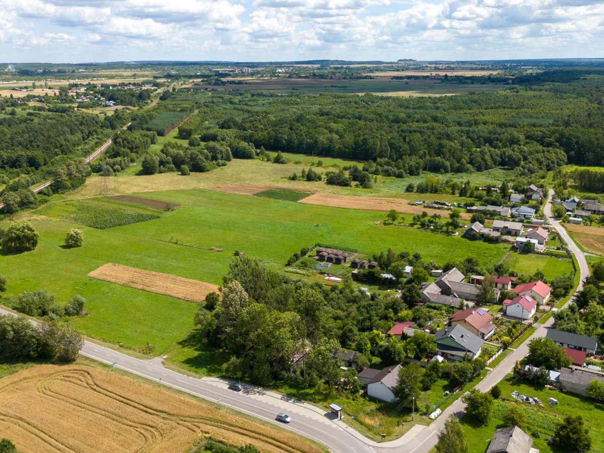 Zdjęcia z Zalesia Krasieńskiego