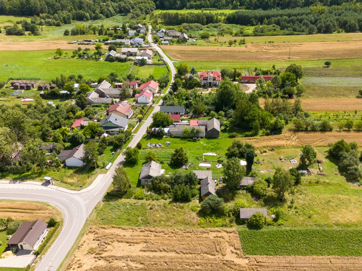 Zdjęcia z Zalesia Krasieńskiego